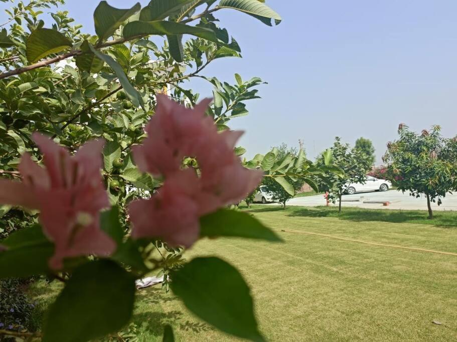 Retreat By Walias Entire Farm Pet-friendly Sports Holiday home Sohna