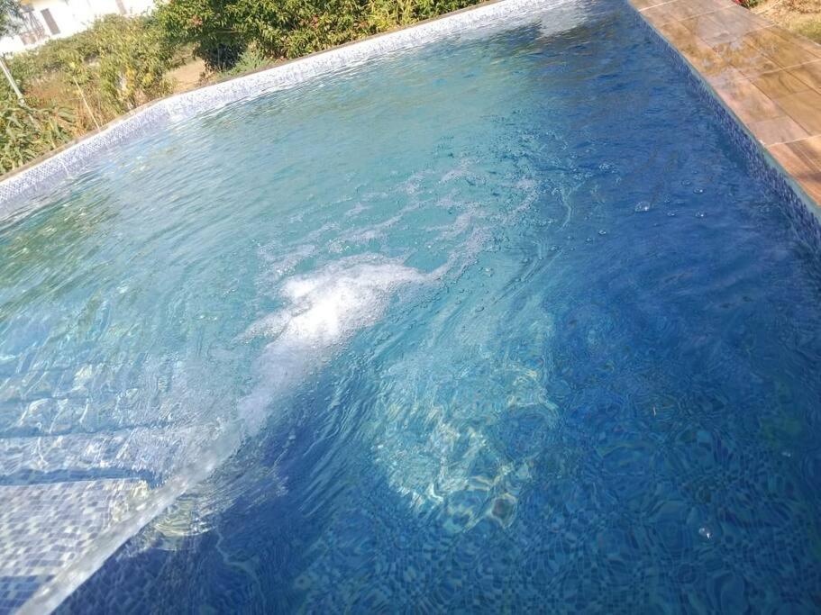 Retreat By Walias Entire Farm Pet-friendly Sports *