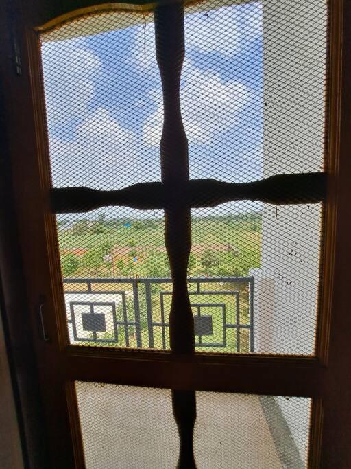 Retreat By Walias Entire Farm Pet-friendly Sports