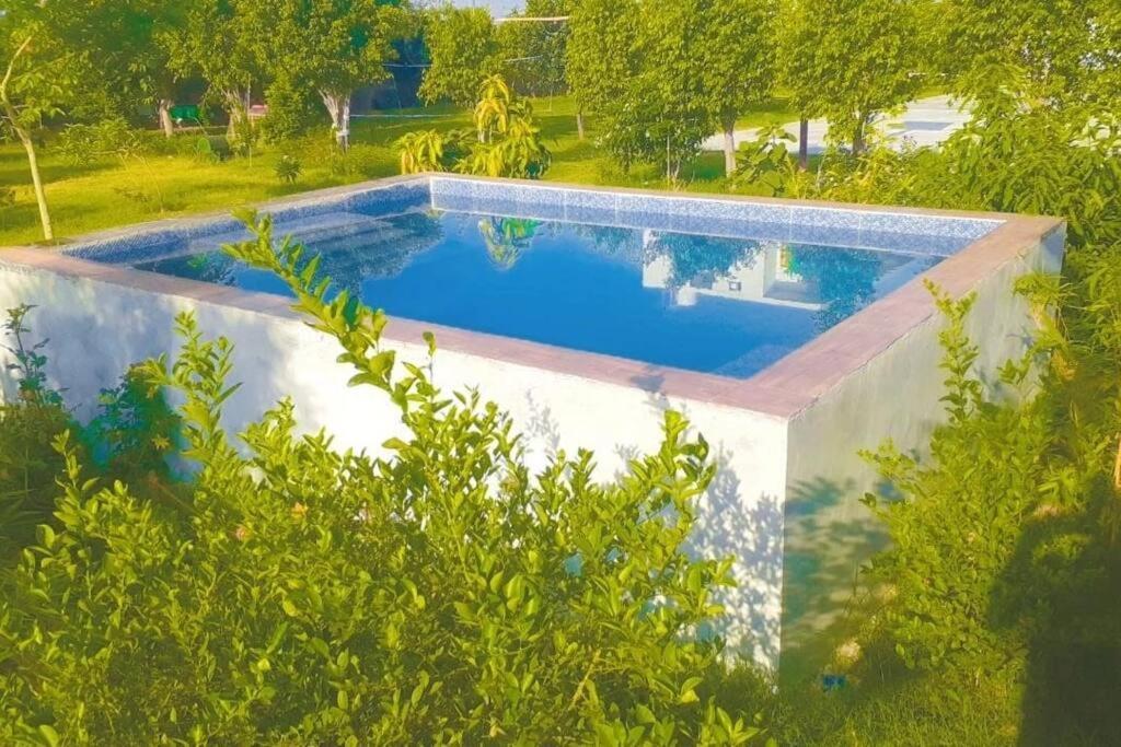 Retreat By Walias Entire Farm Pet-friendly Sports Holiday home *