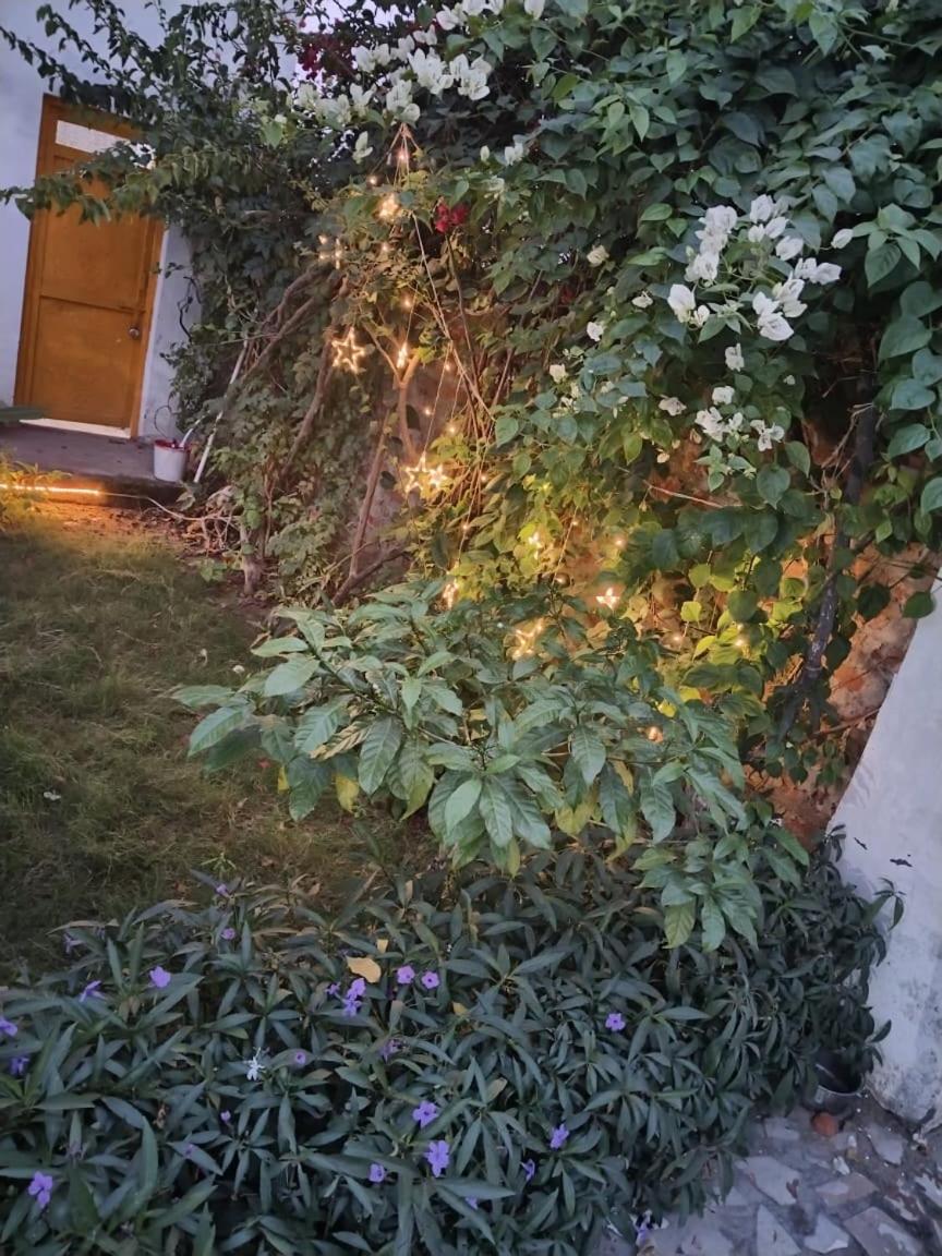 Retreat By Walias Entire Farm Pet-friendly Sports * Sohna