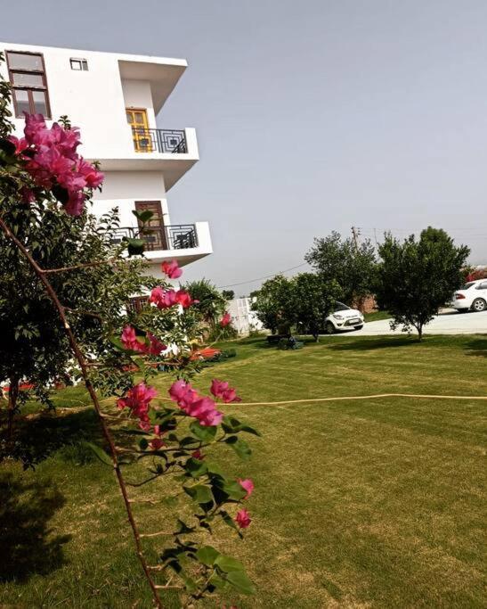 Retreat By Walias Entire Farm Pet-friendly Sports *